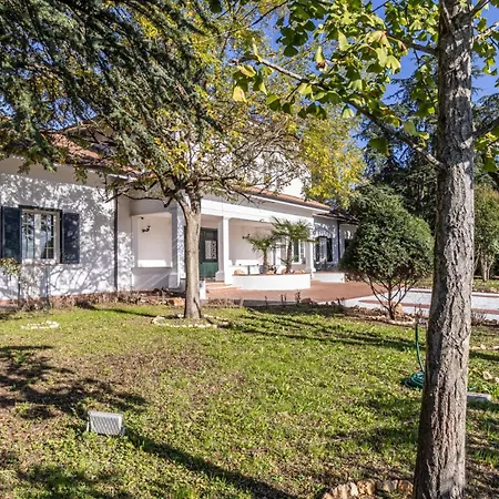 Petrone - Luxury Tra Bologna E Modena - Wi-fi, Biliardo, Jacuzzi Privata *