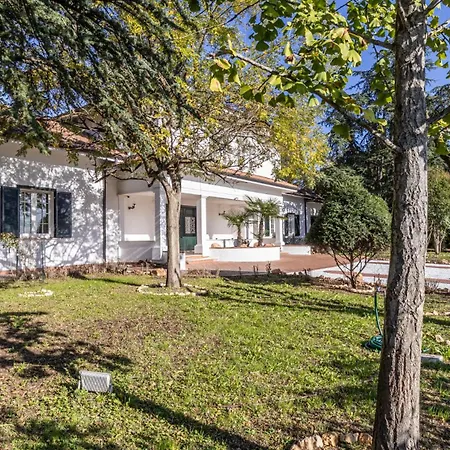Petrone - Luxury Tra Bologna E Modena - Wi-fi, Biliardo, Jacuzzi E Piscina *